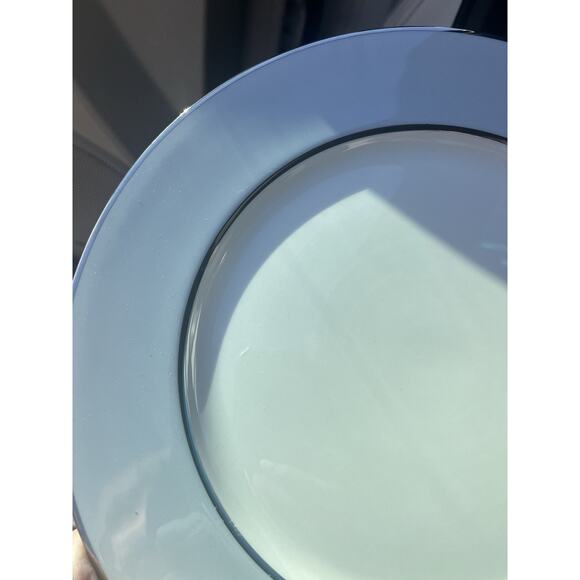 5 Flintridge Brookmere 10 5/8" Dinner Plates Gray Rim w/Platinum Trim - USA - Picture 4 of 8